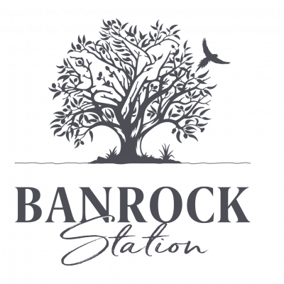 _0003_BANROCK-STATION-Logo